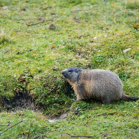 Naturhotel Haller Racines Zewnętrze zdjęcie